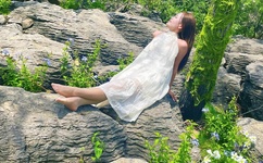 忘忧草视频在线观看高清免费观看